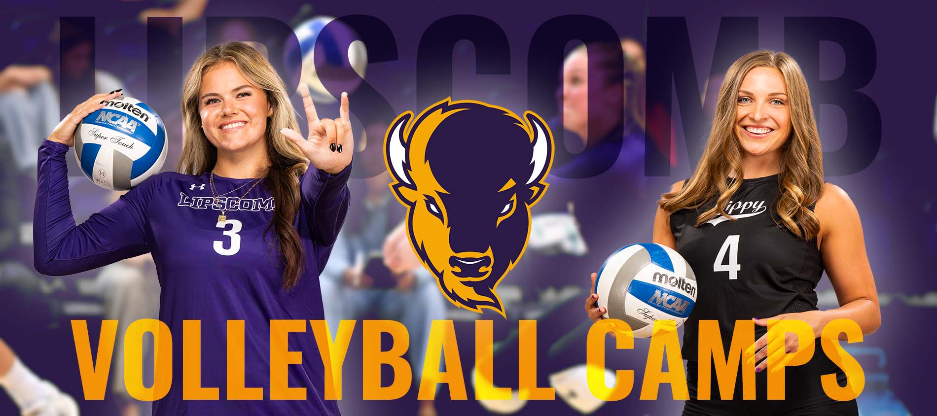 Lipscomb University Volleyball